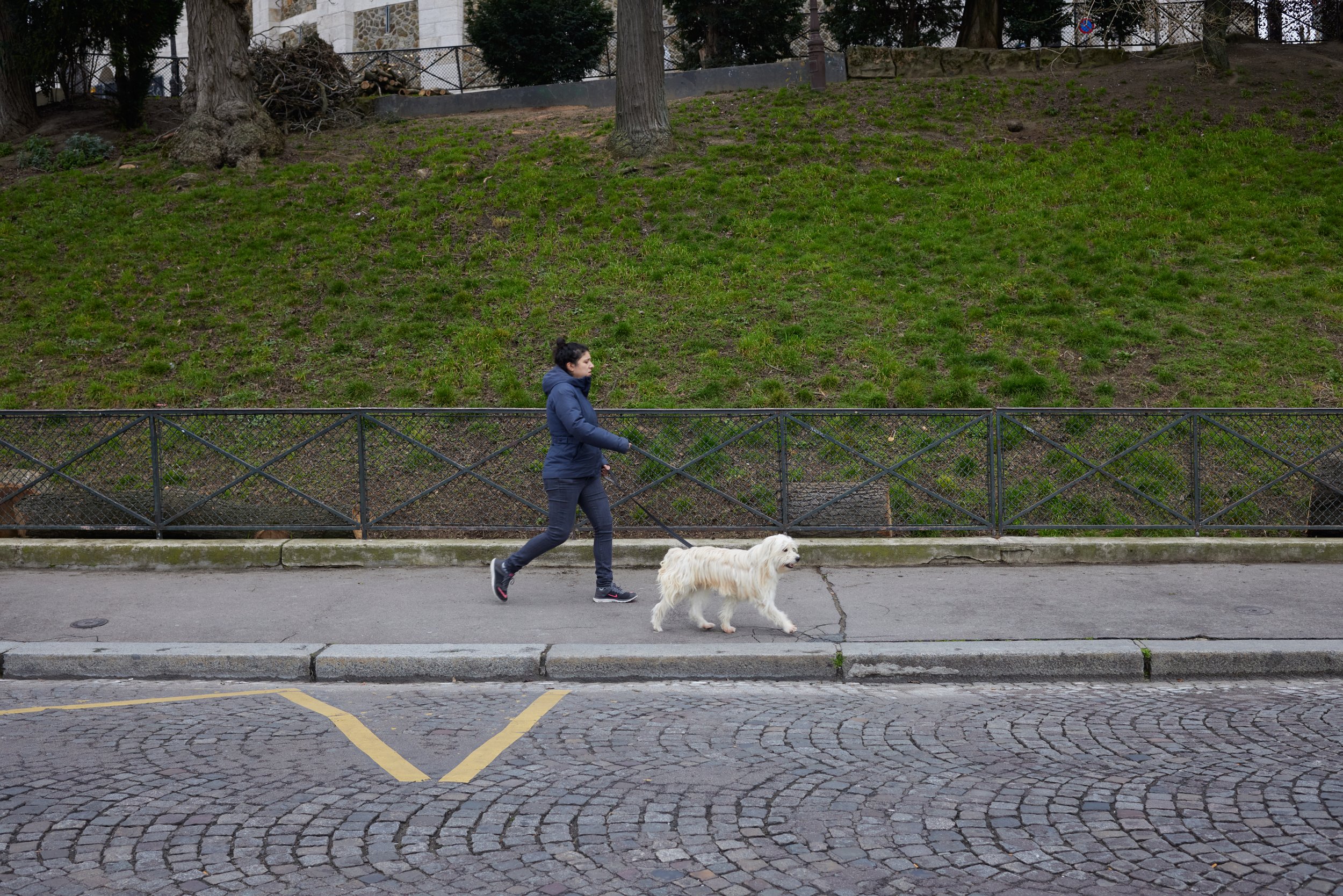 Paris_2022_0368_dogs_562A7070.jpg