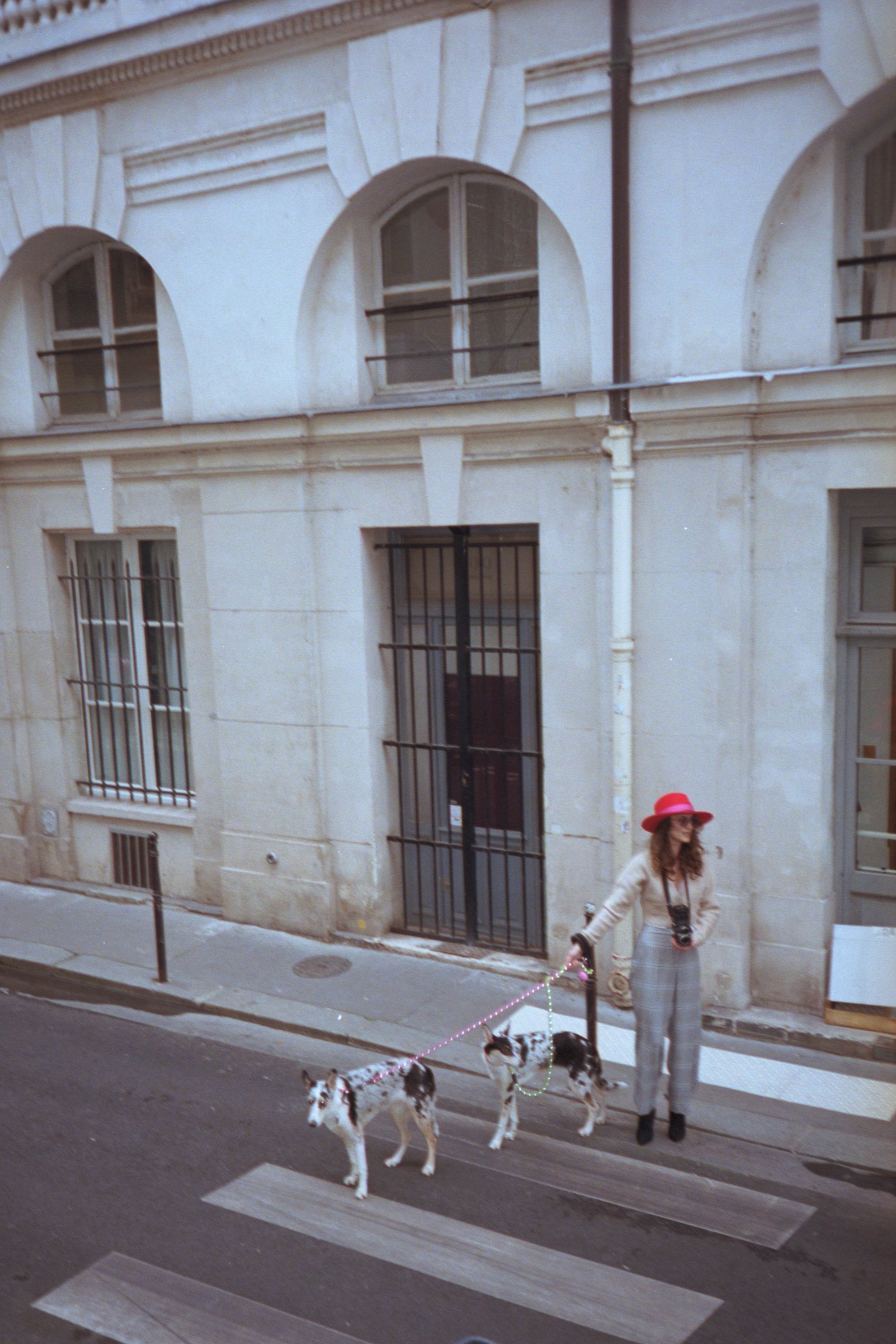 Paris_2022_0377_dogs_2022_02_04_paris_film_olympus_35mmCN_025.jpg