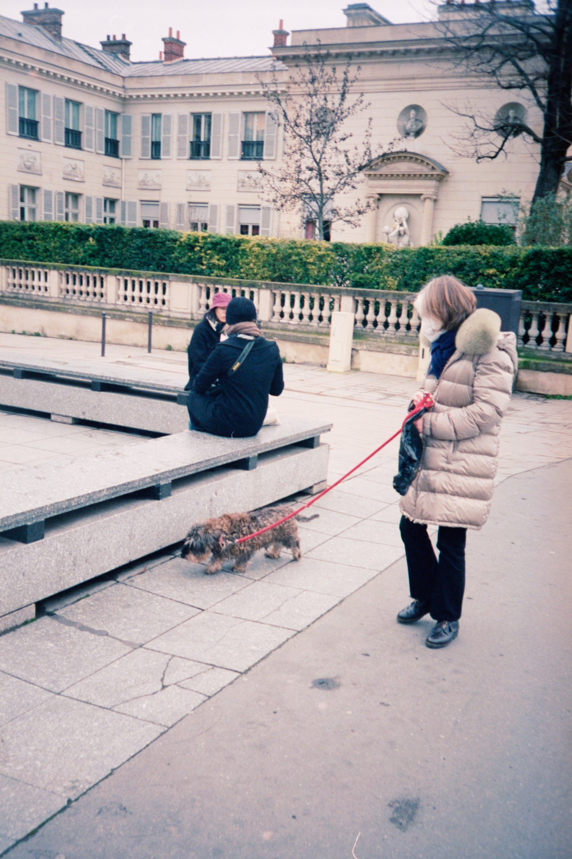 Paris_2022_0378_dogs_2022_02_04_paris_film_olympus_35mmCN_064.jpg