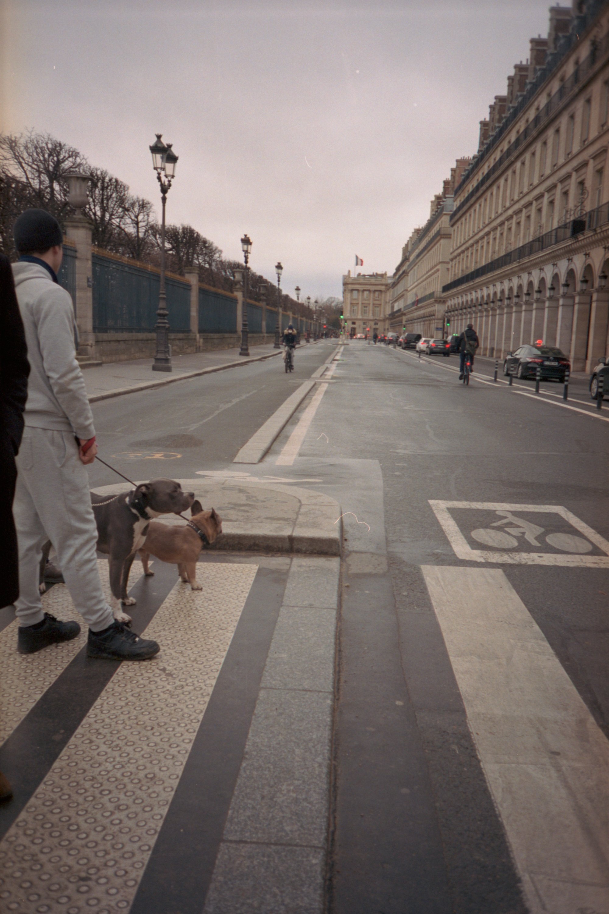 Paris_2022_0379_dogs_2022_02_04_paris_film_olympus_35mmCN_110.jpg