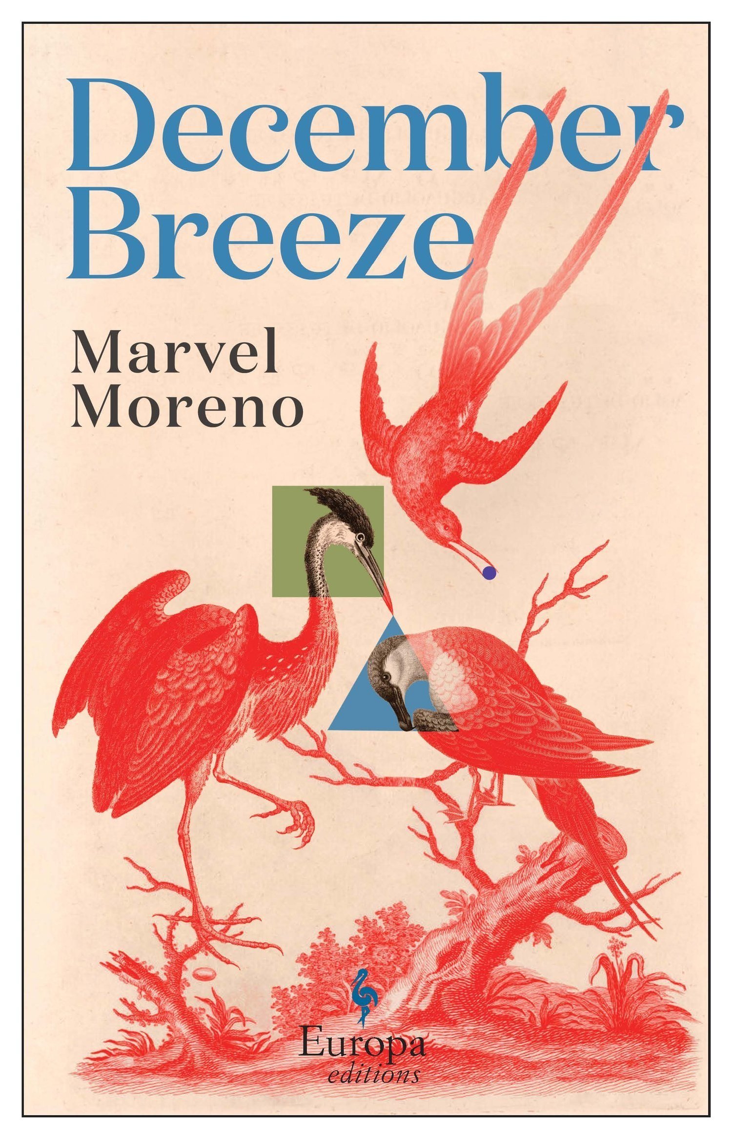 DECEMBER BREEZE - MARVEL MORENO