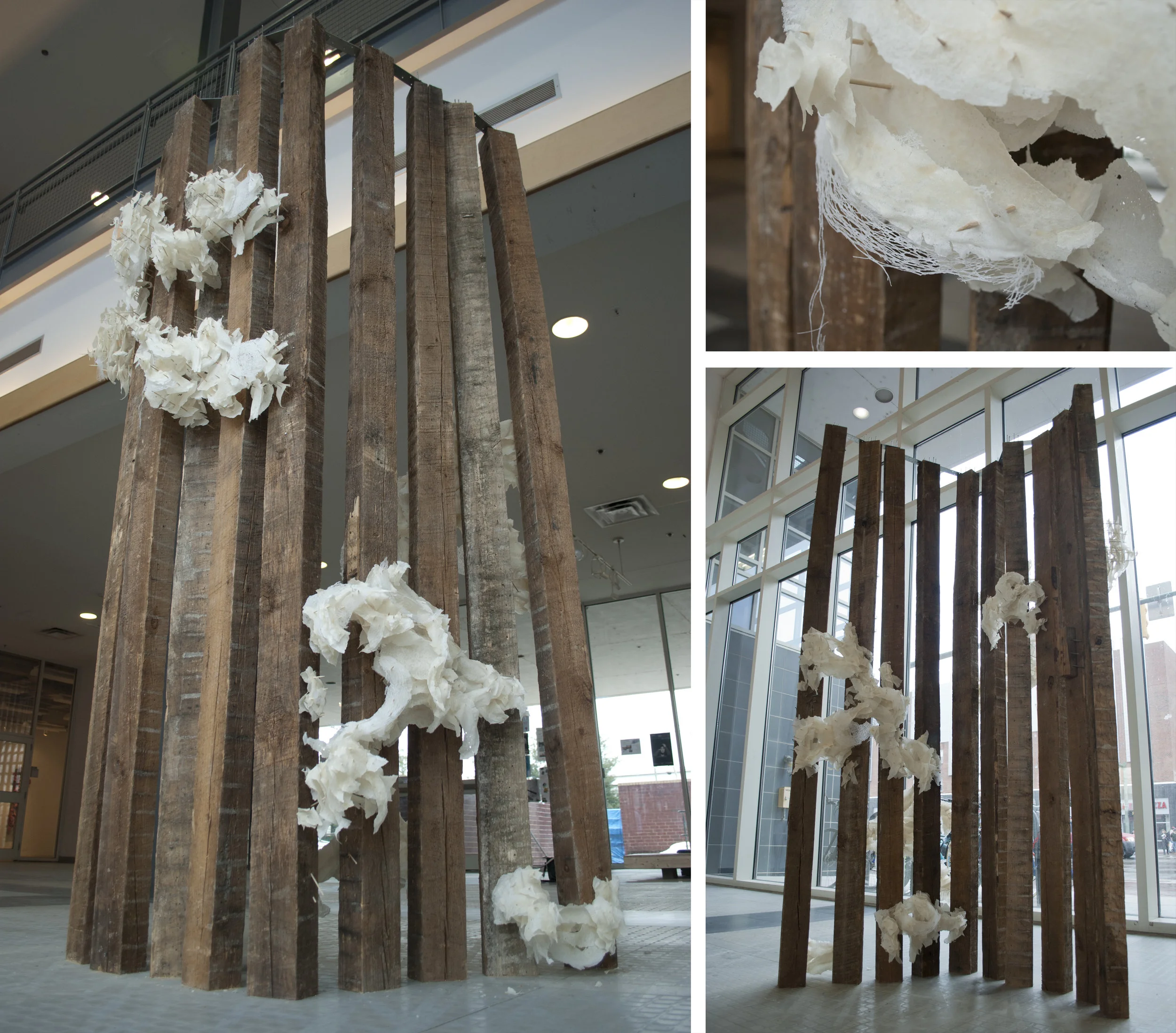 A04 Diana Caramat.jpg