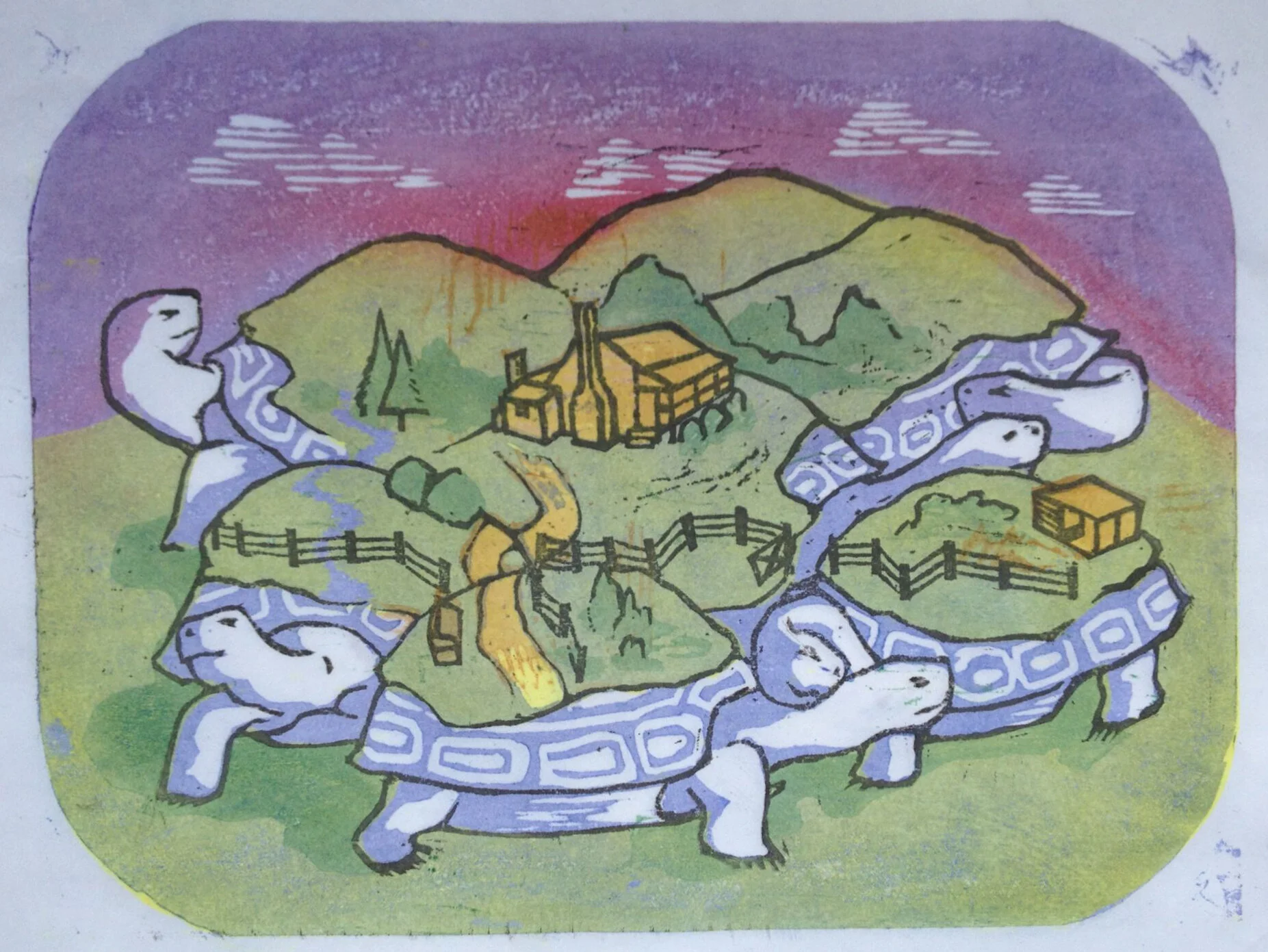 Diana Laurel Caramat turtles.jpg