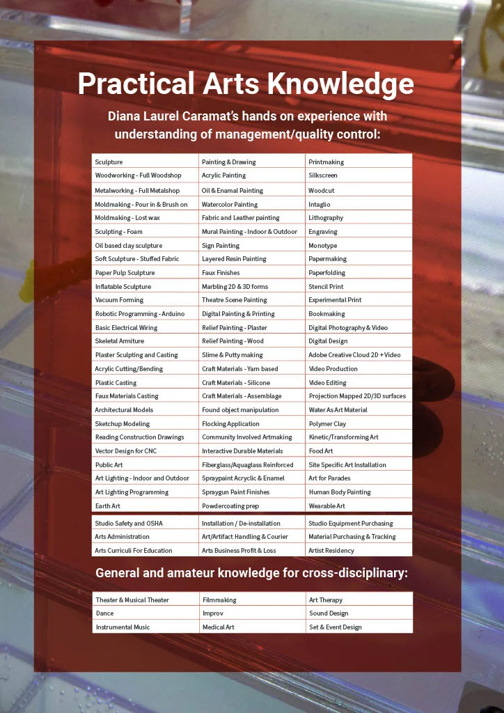 Diana Laurel Caramat technical skills sheet10241024_1.jpg