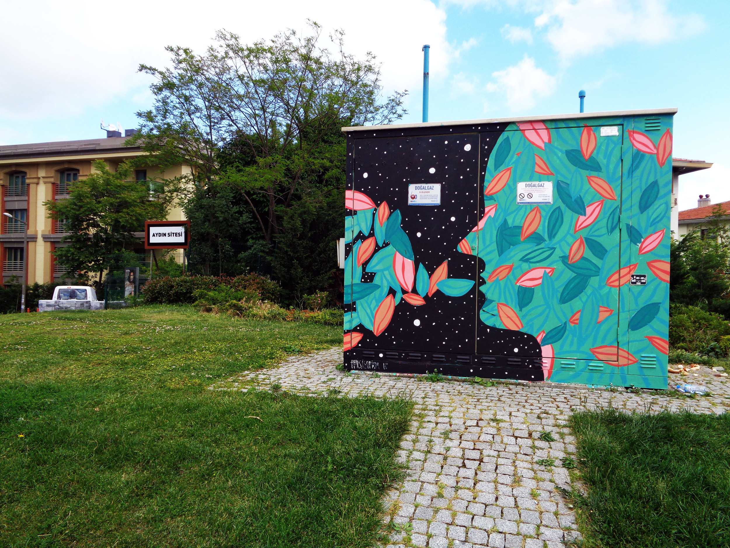  Mural commissioned by Besiktas international festival, Istanbul 2016 