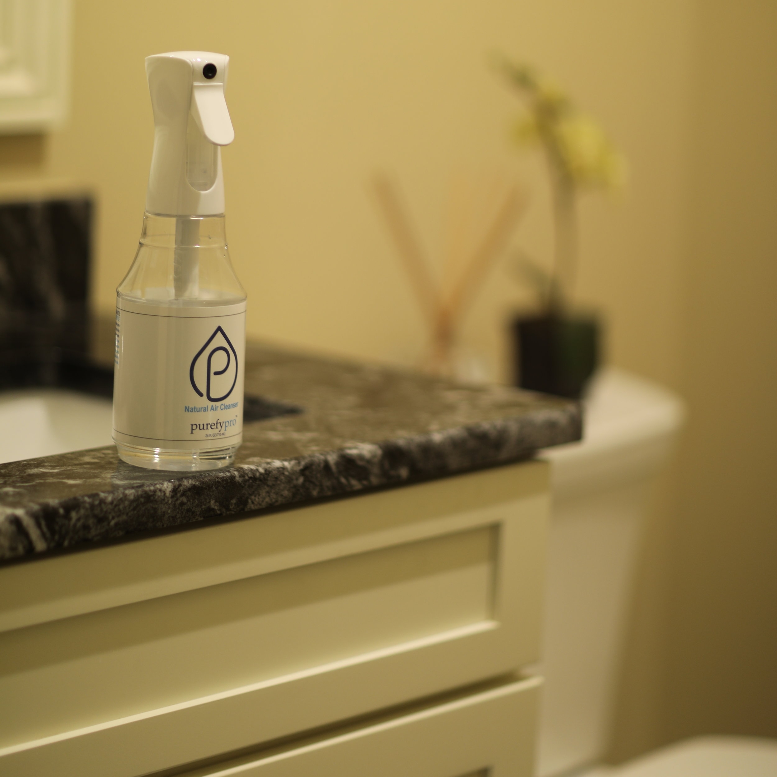 Purefy Natural Air Cleanser