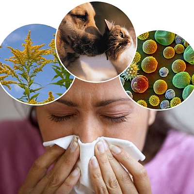 Allergies &amp; Asthma