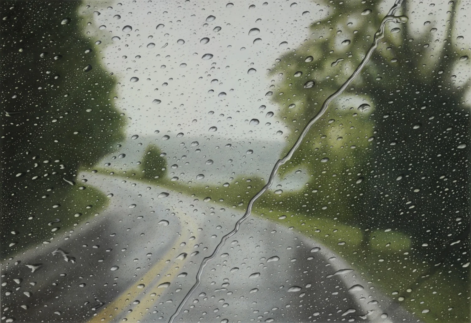 Faye Lake Road, 12pm, 2010