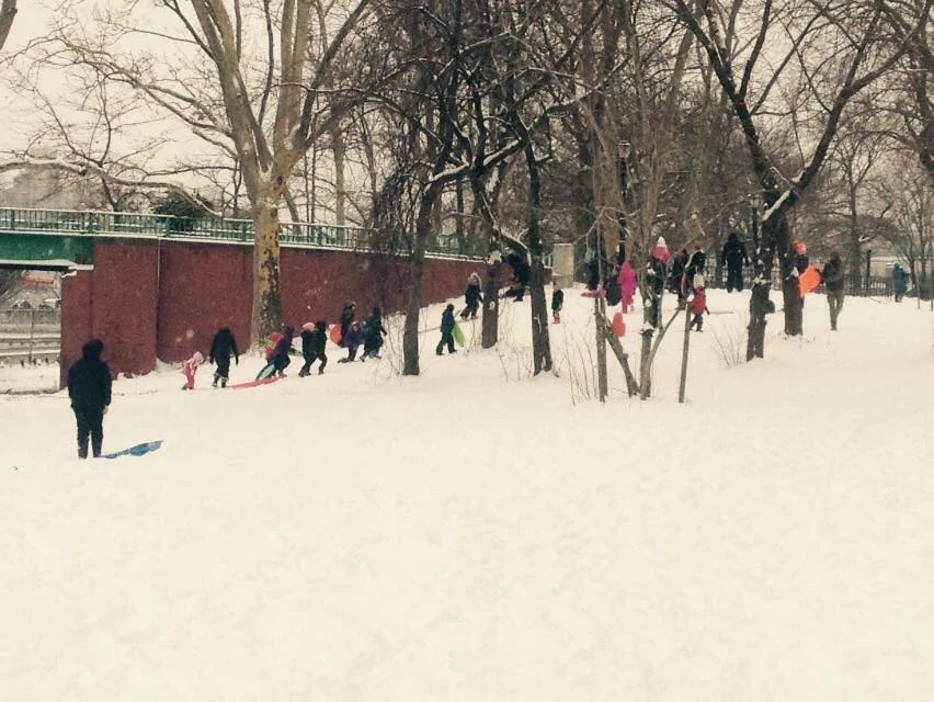 Kids sledding.jpg