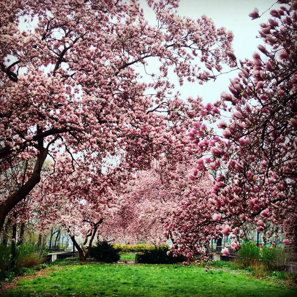 Spring It's My Park Day