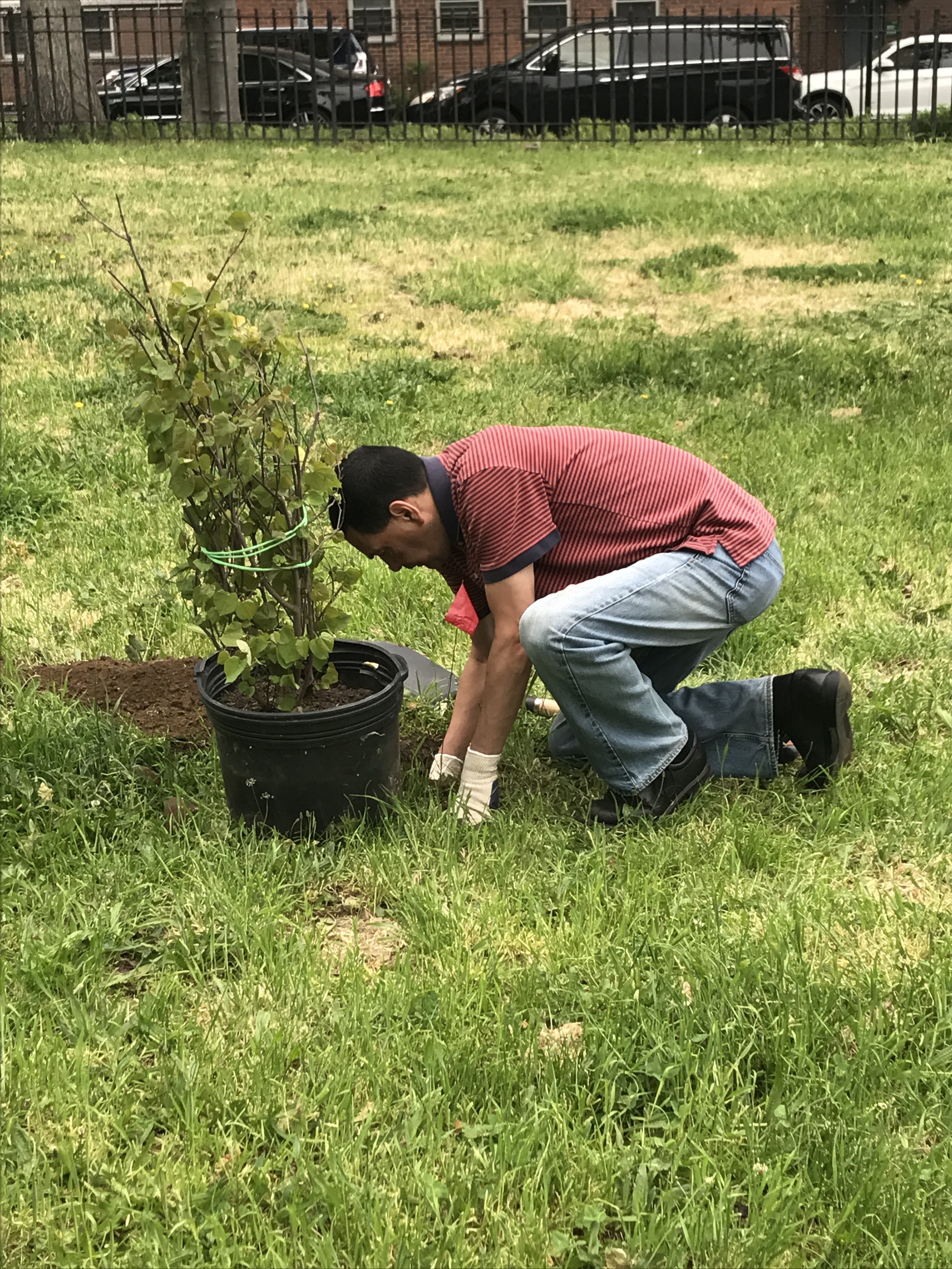 Volunteer Planting.JPG