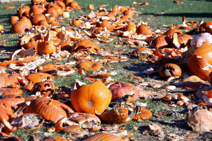 Pumpkin Smash 2018