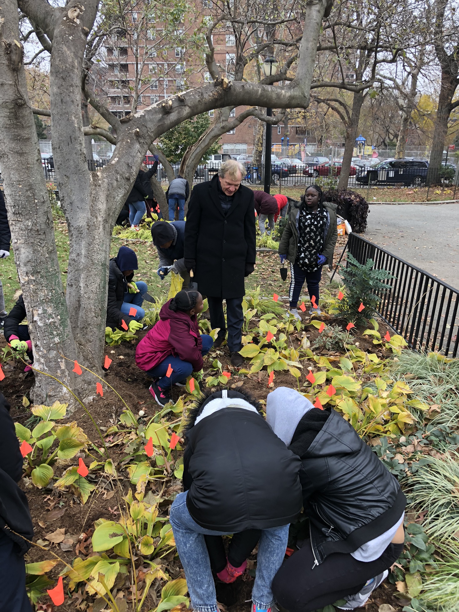 Planting tulip bulbs for Dutch-American Heritage Day
