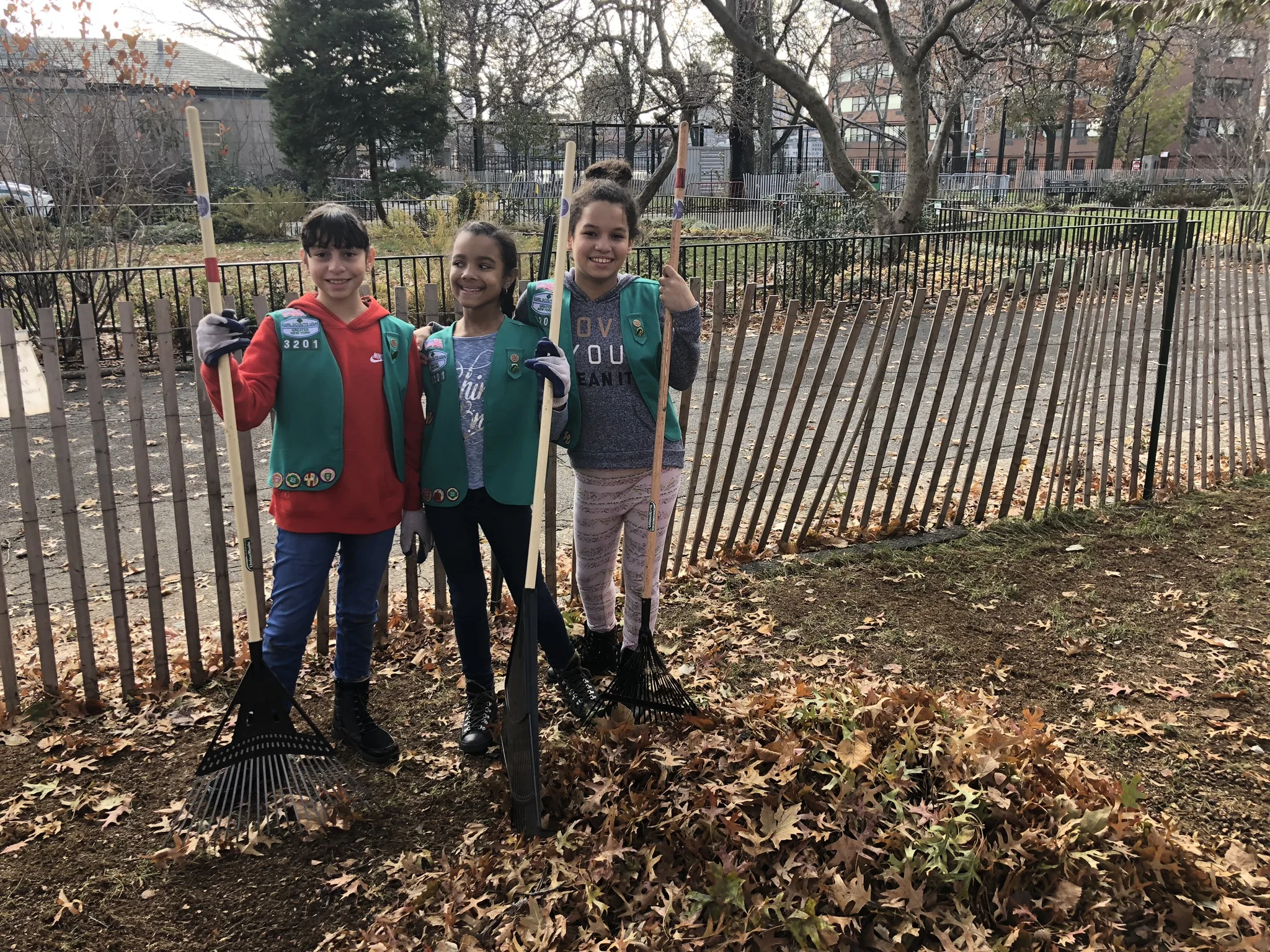 Thanksgiving weekend leaf rake-up