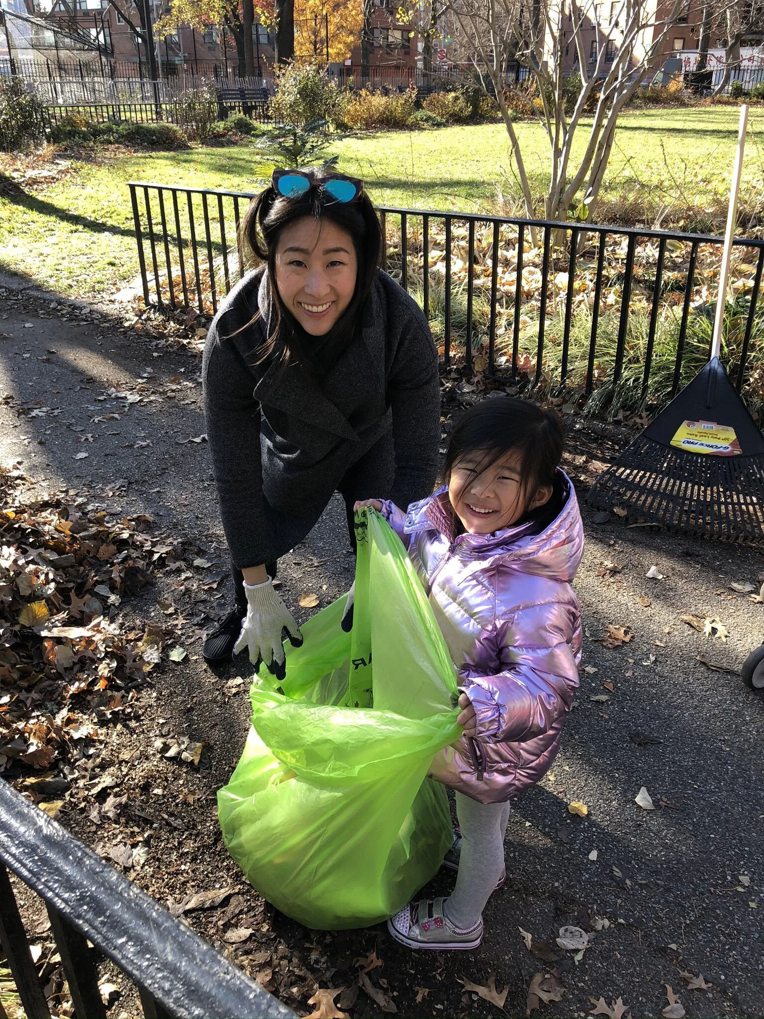 Annual Post Thanksgiving Leaf Rake-up