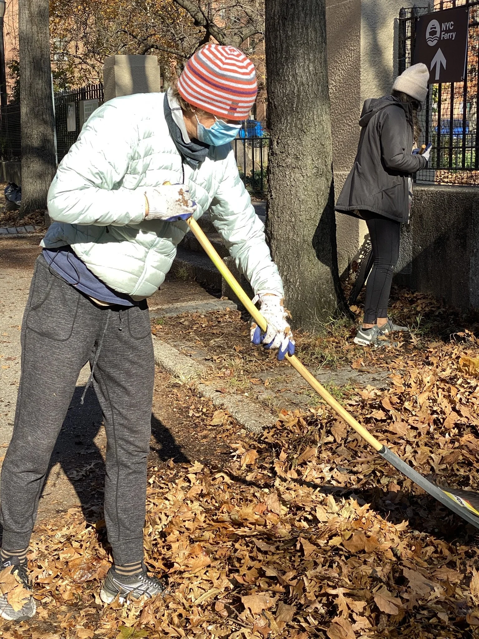 Annual Post Thanksgiving Leaf Rake-up