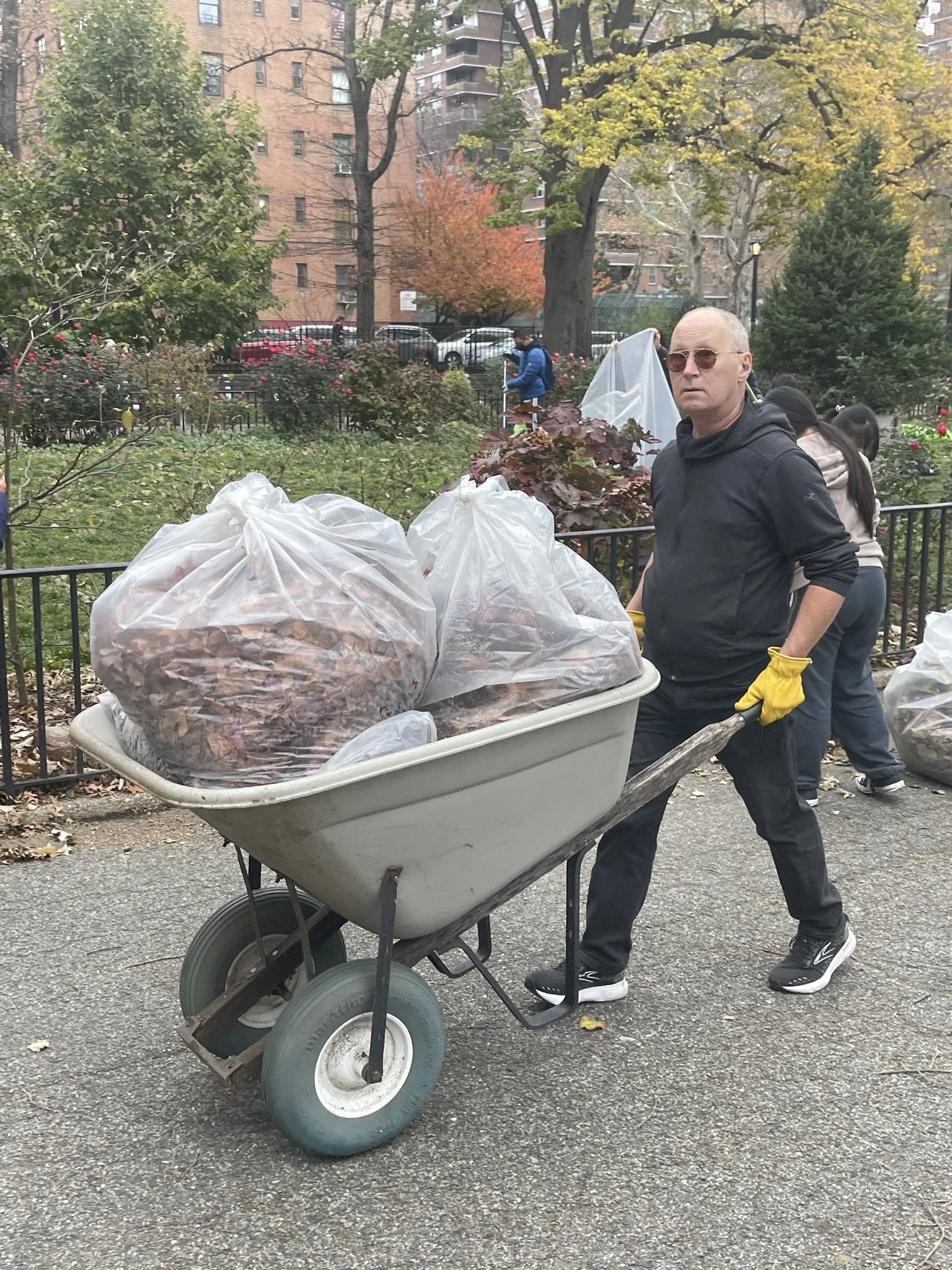 Annual Post Thanksgiving Clean-up