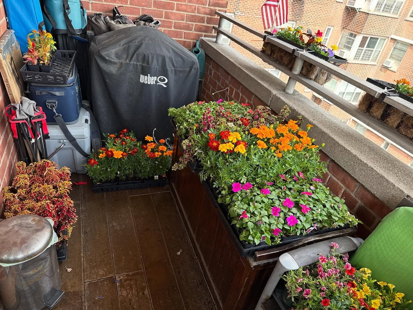 We may have gone a little overboard at the nursery today but when a corporate volunteer group is footing the bill, you get to splurge a little. Look for these to be planted soon, until then they are safe and sound on one of our board member&rsquo;s b