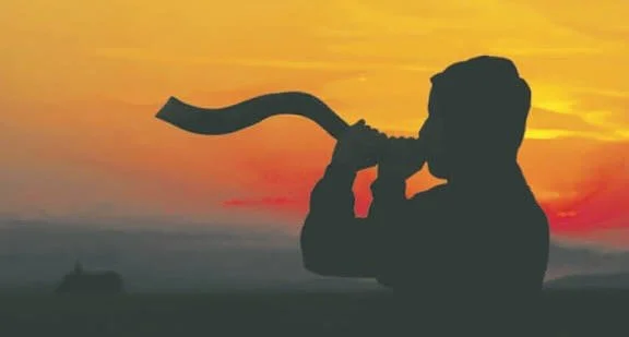 Celebrate the New Year with a special shofar blowing with the Young Israel Synagogue of Manhattan tonight at 530p in the park. There will be another blowing tomorrow night at the same time. More info on our website. #roshhashanah #shofar