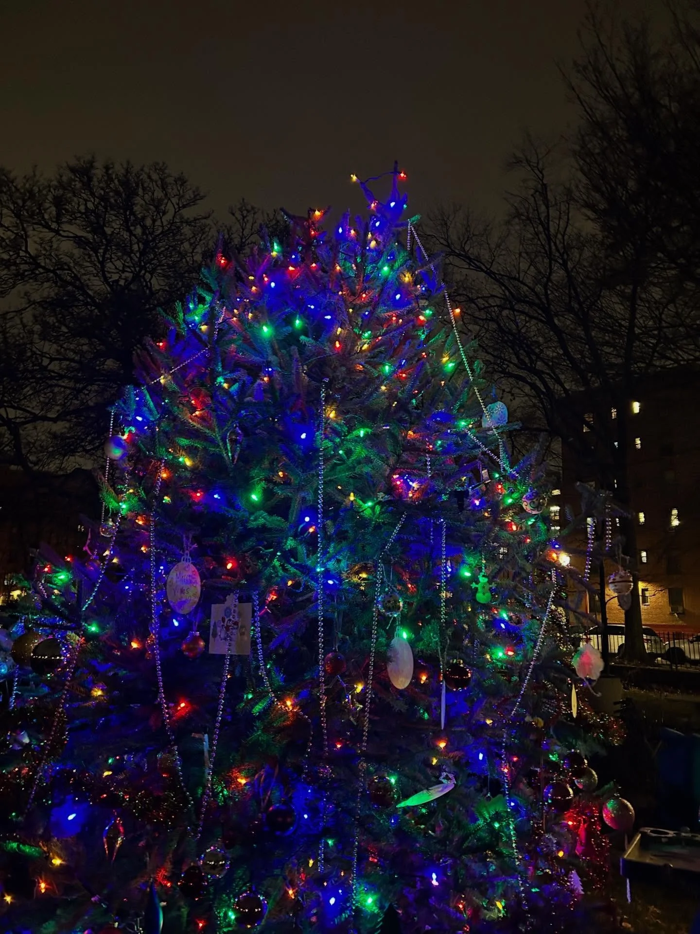 Thank you to everyone who came out for tonight&rsquo;s holiday festival. What a wonderful night of fun and festivities. More photos coming soon! #lowereastside #lowereastsidenyc @nycparks