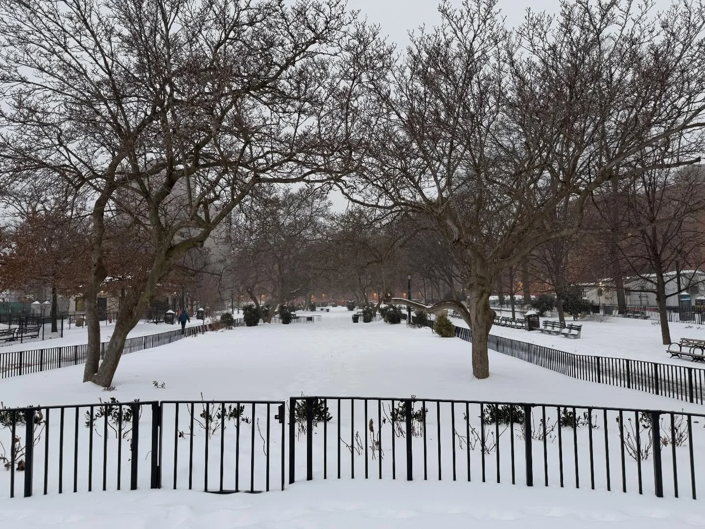 It&rsquo;s a winter wonderland in the park. Please stay safe and warm. @nycparks @lodownny #snow #nycparks #nyc #lowereastside