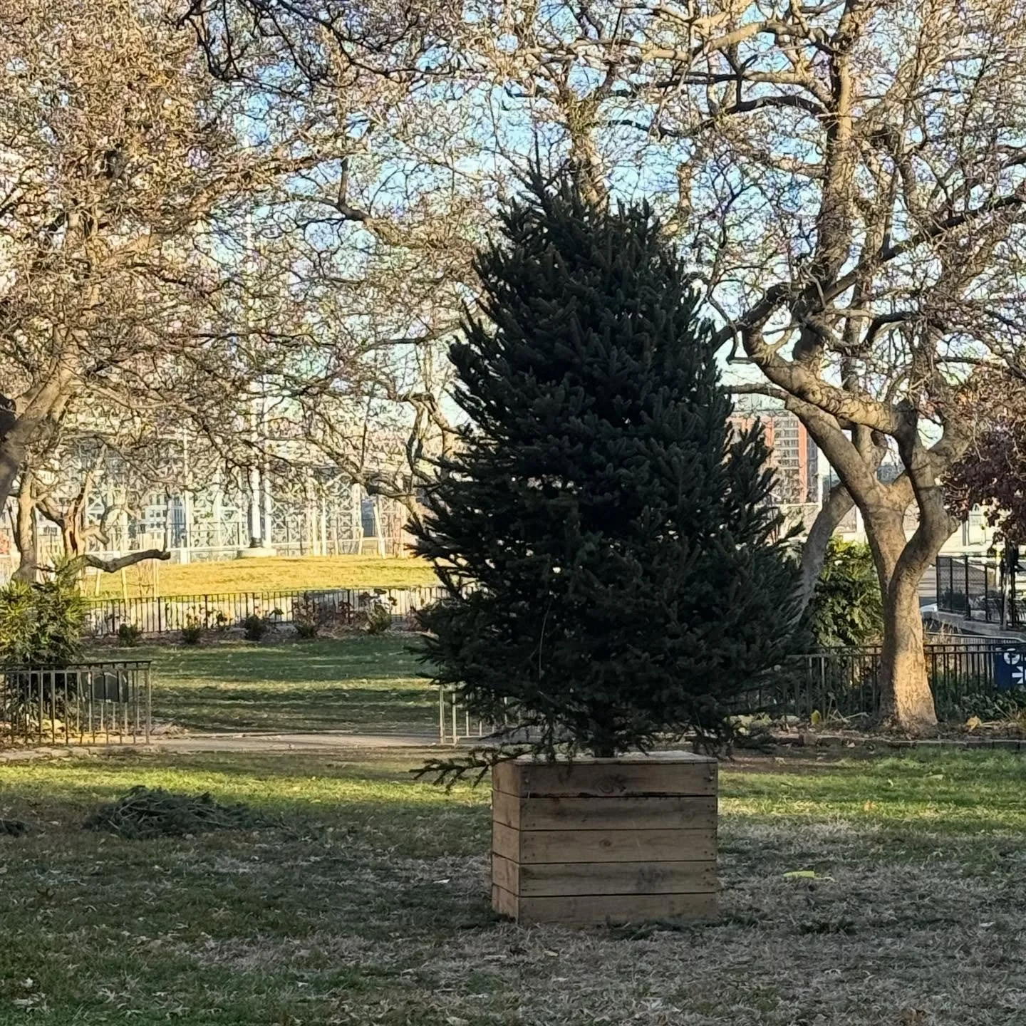 Come out this Sunday evening to see our holiday tree be lit. There will be fun activities for the kids, a musical performance to enjoy, and family photos from Brian Ziegler Photography @nycparks #lowereastsidenyc #lowereastside