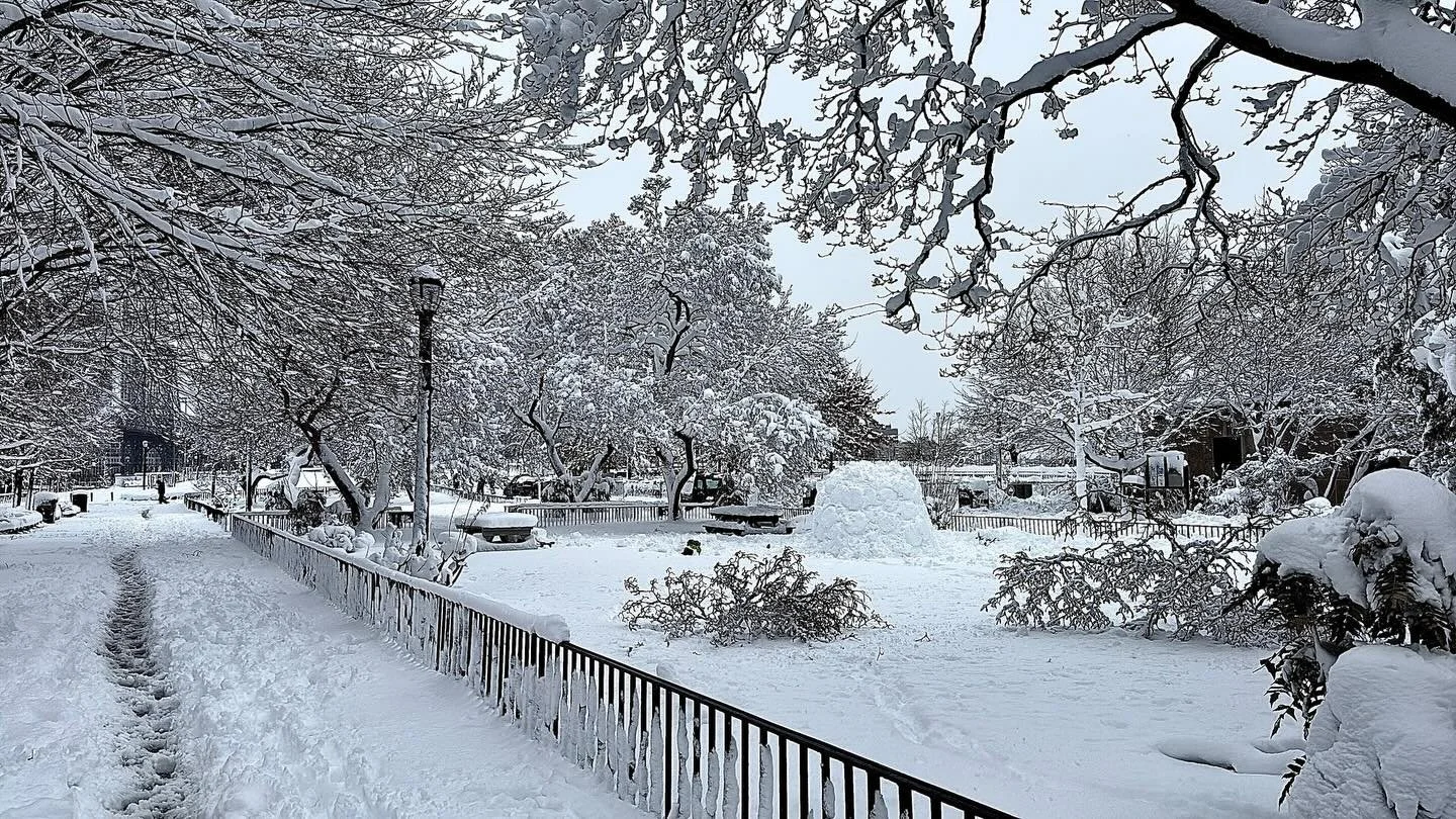 Fresh snowfall in the park @nycparks @lodownny #lowereastside