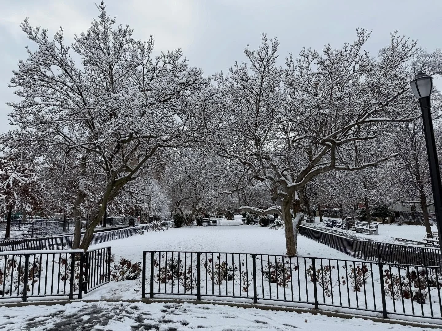Corlears winter wonderland. #snow #snowlandscape #winter #winterwonderland #nyc @nycparks @lodownny