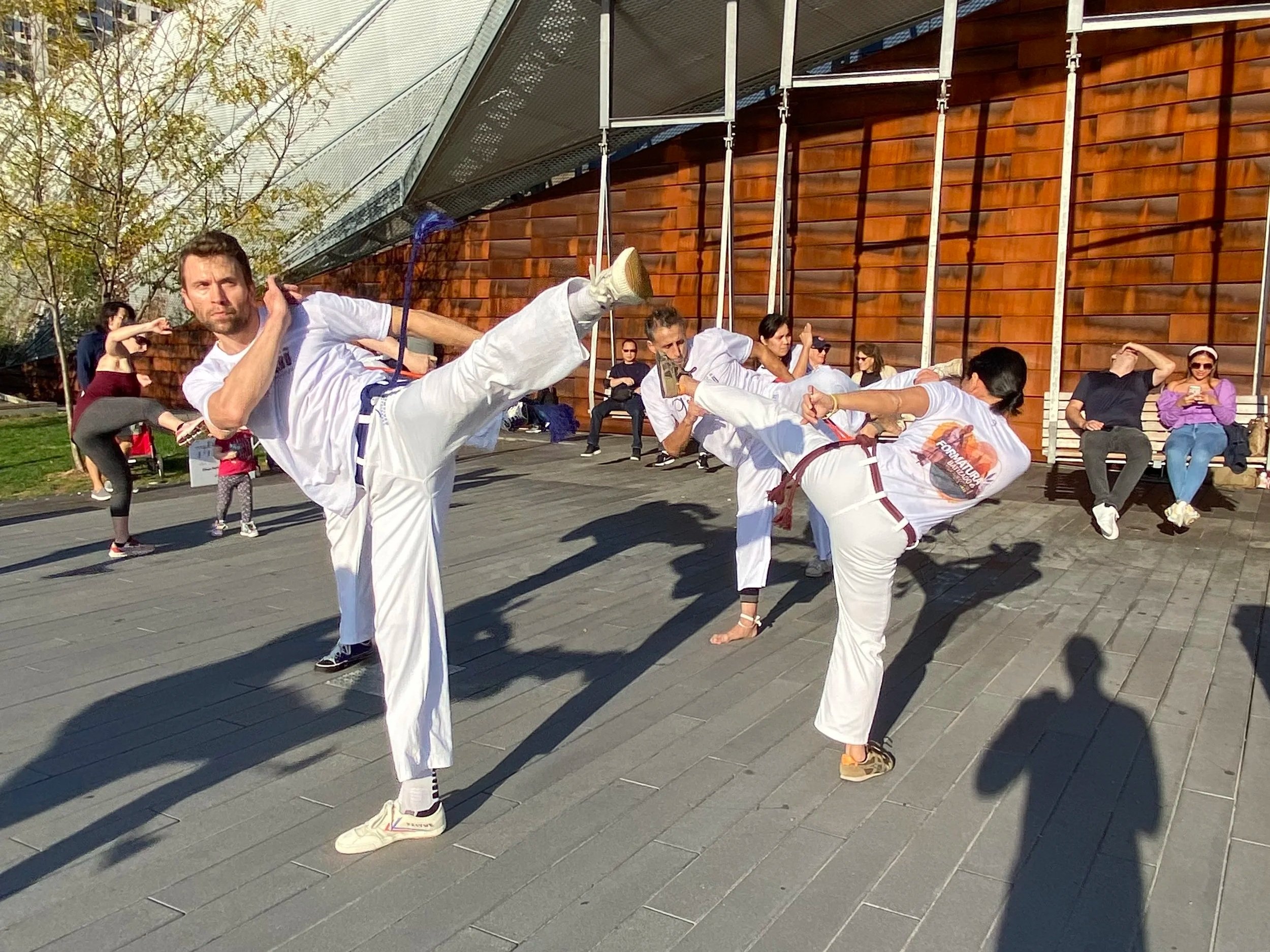Intro to Capoeira - April