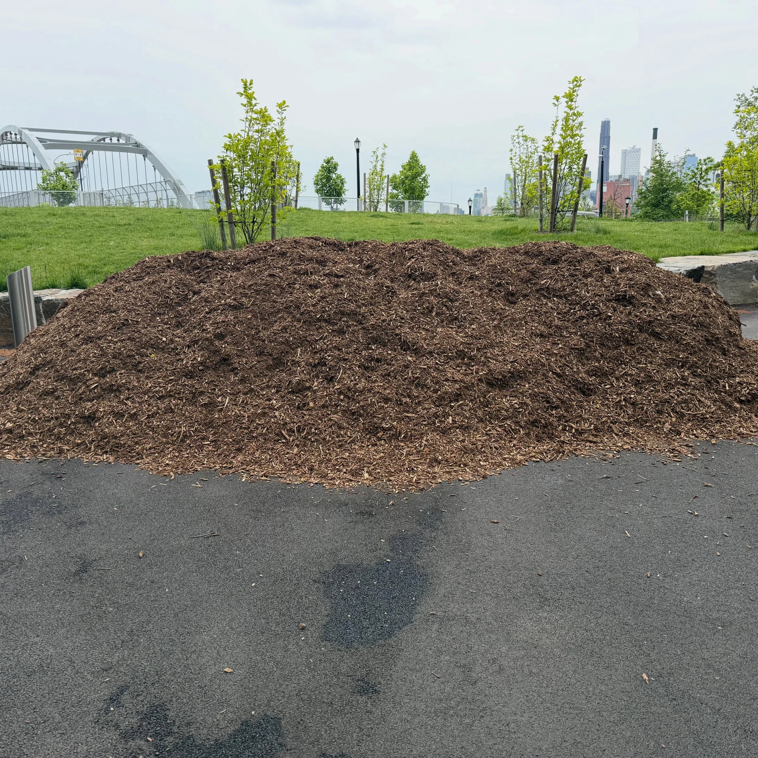 Mulch available. Due to a misdelivery, we have a significant amount of mulch in the park that we will not use. If you need any for your personal gardens, please feel free to come and take some. The mulch is located in the flag pole area. Bring your o
