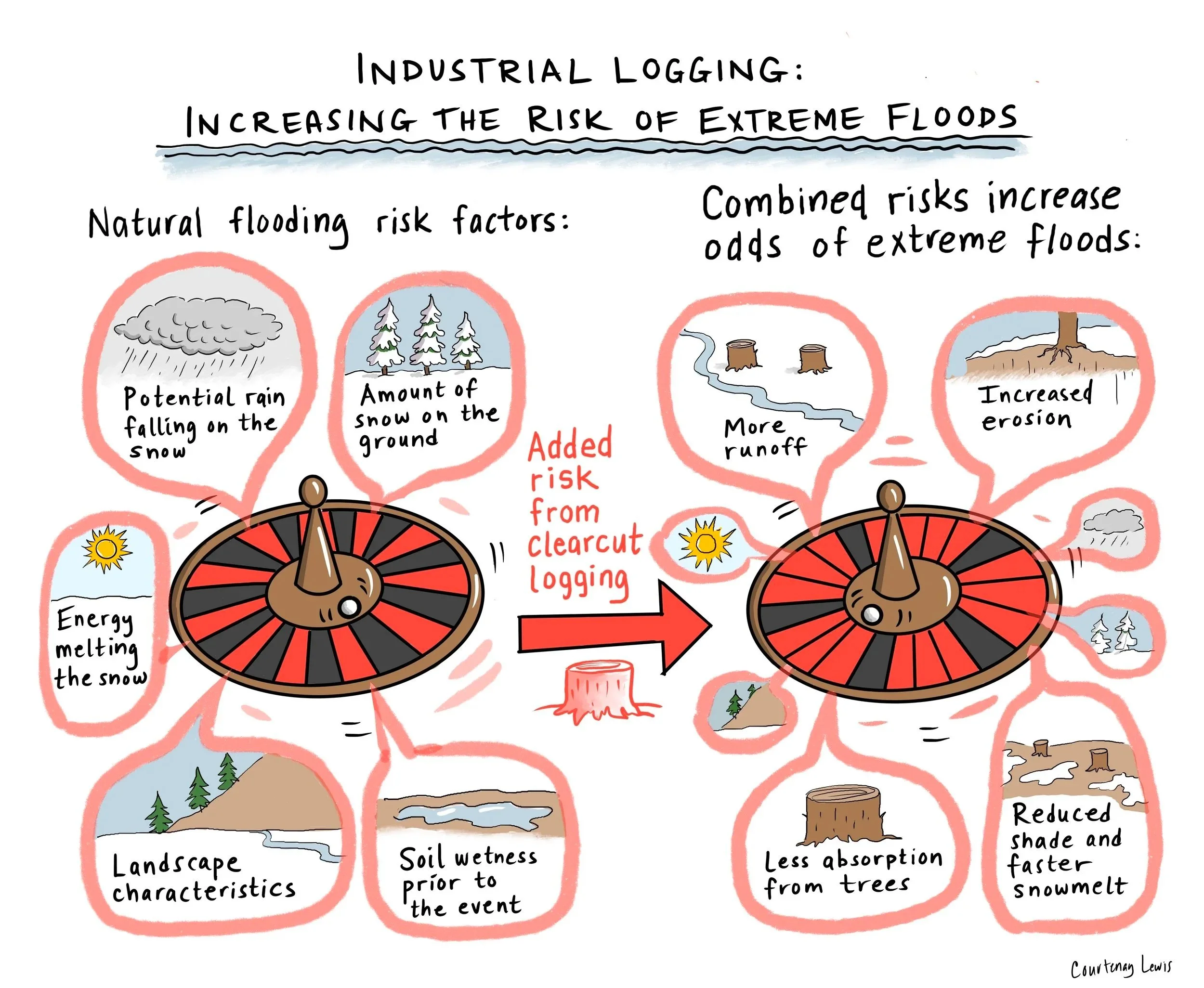 Illustrations for David Suzuki Foundation 