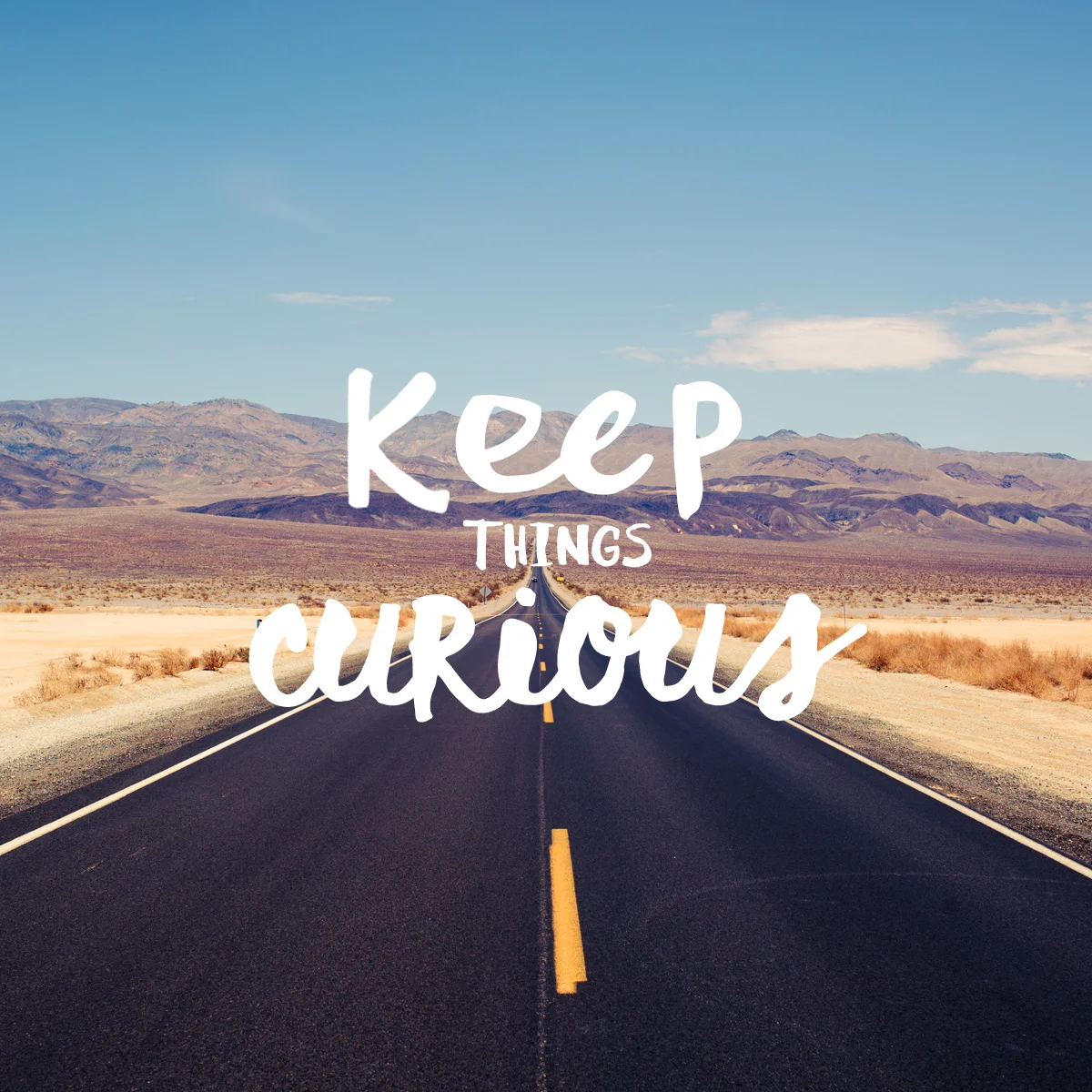 Keep on keeping curious. #plantowander