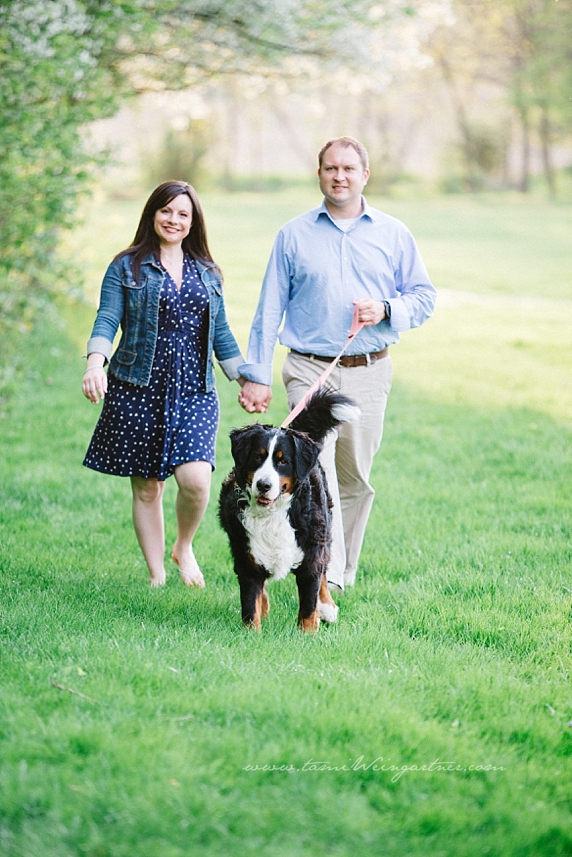 Engaged Couple walking Bernese Mountain dog