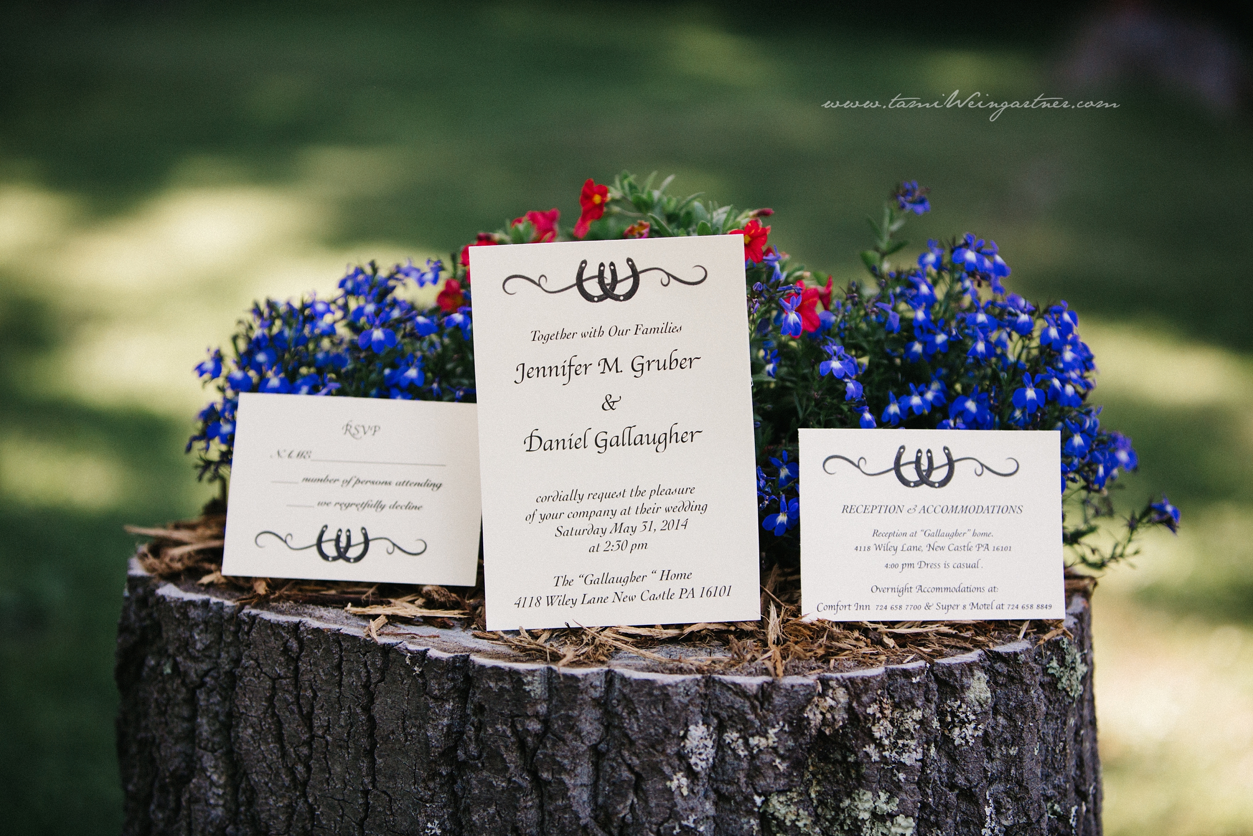 Wedding Invitation displayed on a tree stump at a backyard wedding