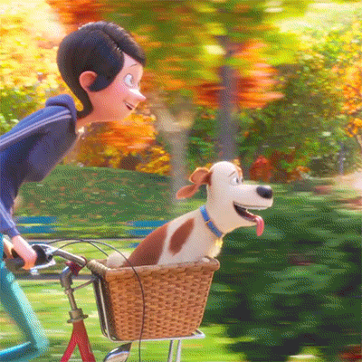 bike.gif