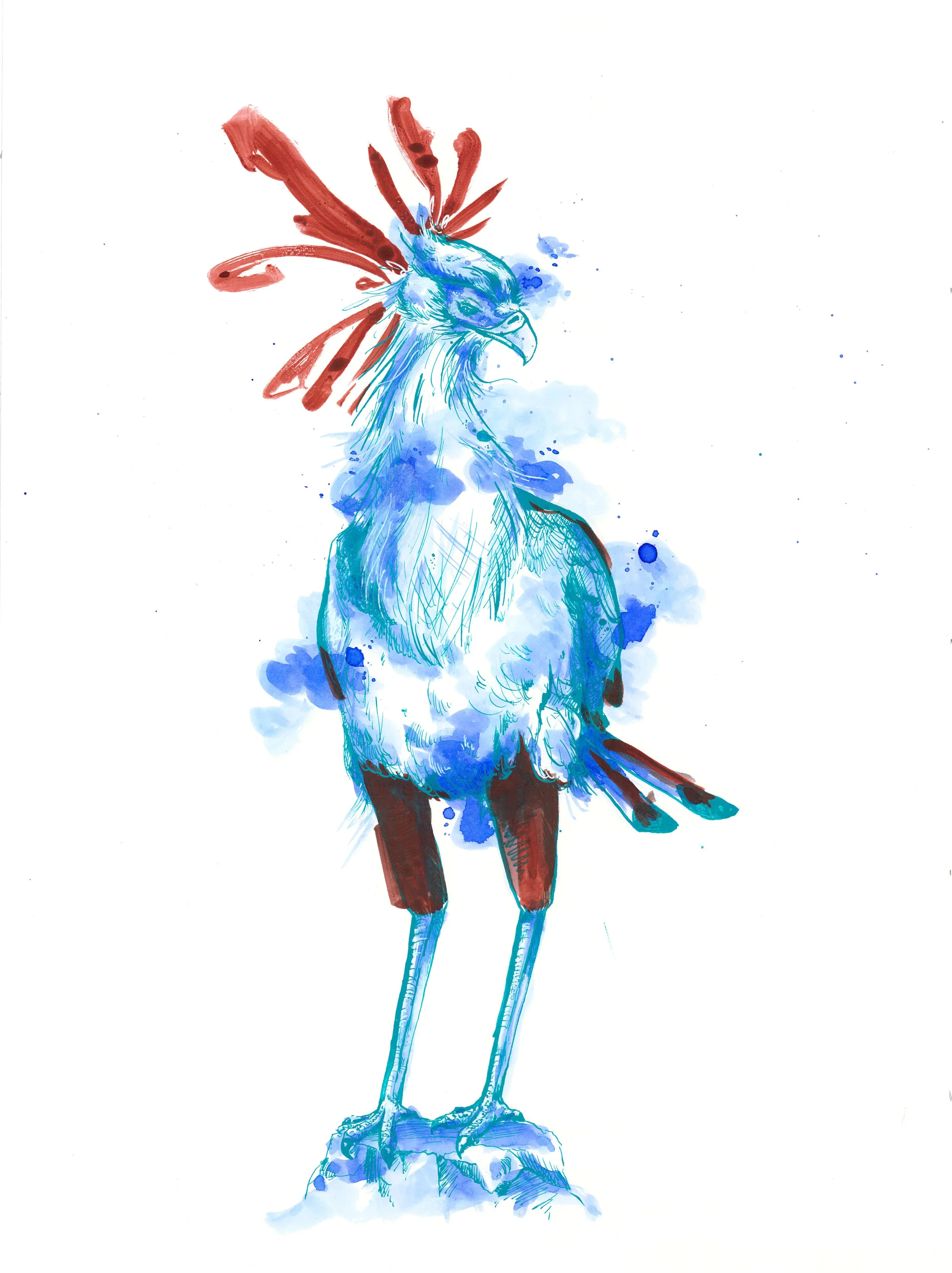 Graham-SecretaryBird-Ink.jpg