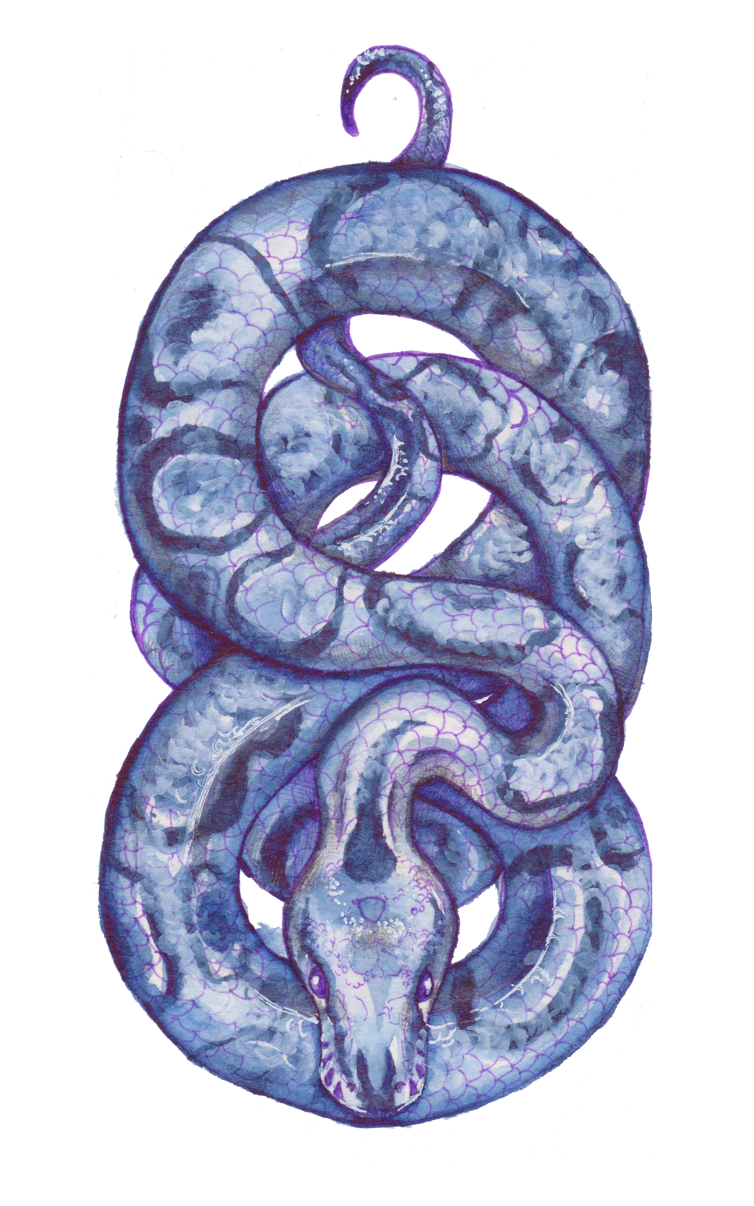 Snekk.png