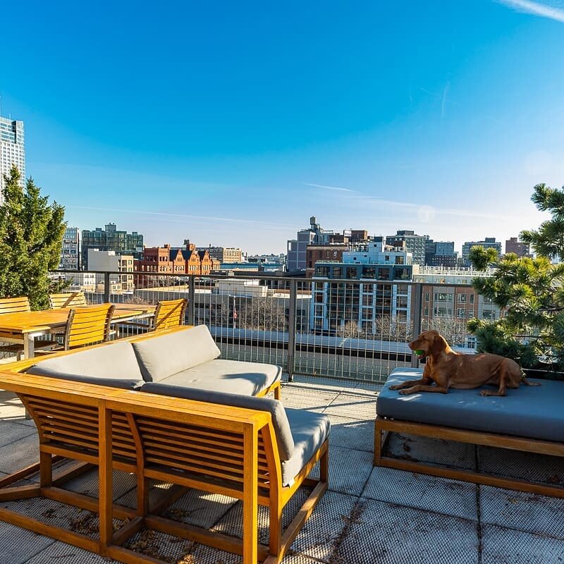 Outdoor season is here!  If you have any interest in moving into an apartment that offers private outdoors, @theswillingerteam is here to help!  11-25 45th Ave #penthouse available for rent. #longislandcity #manhattanskyline #milliondollarlisting #pr