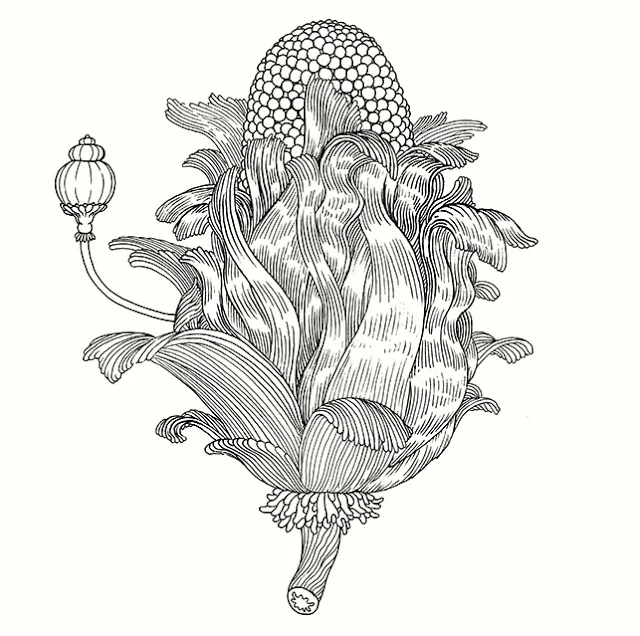 "How's your next coloring book coming?"