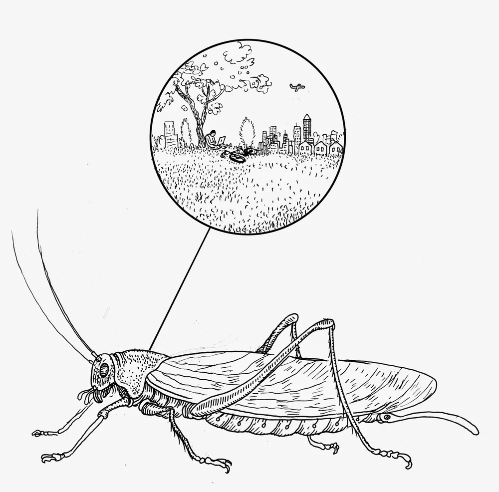 Bugs