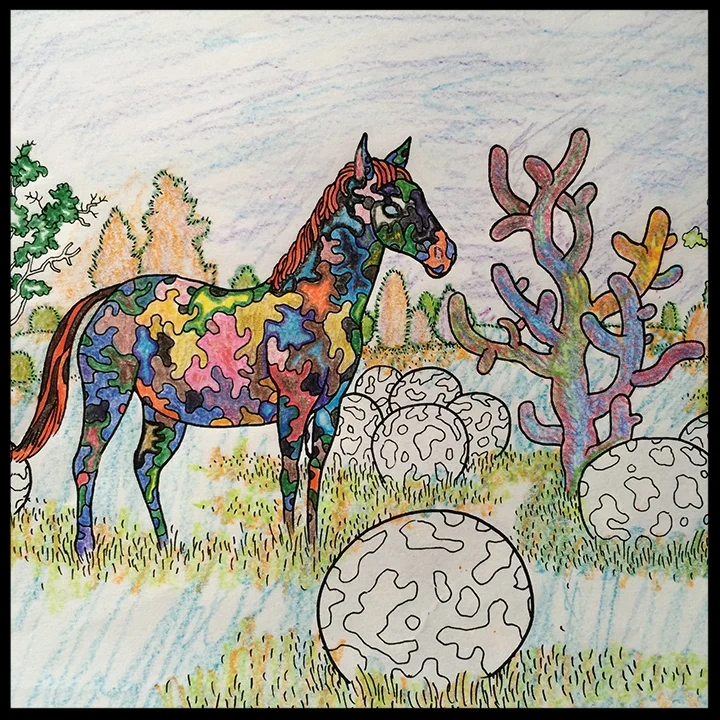 Coloring Book Contest Winners