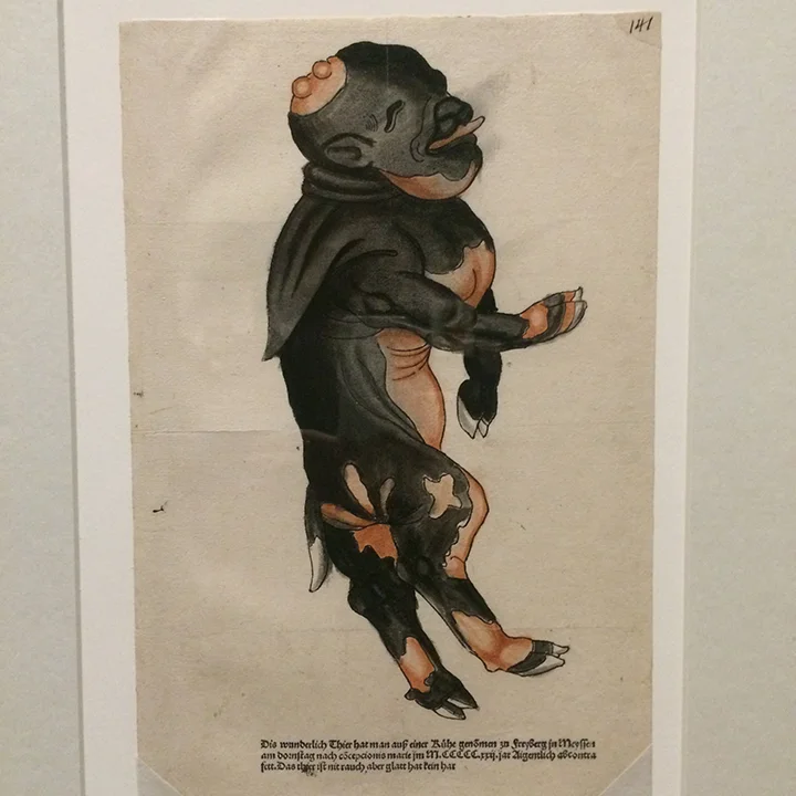 This is a drawing of a deformed infant pig that became a metaphor somehow in the war of insults and the interpretation of omens. Simple ink prints were the most easily available images to regular people. A hand-painted version would have been a bit more of a get, and are therefore much more rare, now.