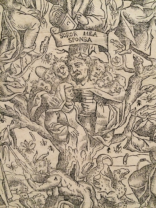 From the other side, this is an image of Luther as a seven headed ogre who is also the trunk of a tree whose branches show the ever more radical branches of protestant faith. And he's also got a cup of wine for that sweet innocent nun (Luther did, in fact marry an escaped nun). I guess that's the devil (A) tending the tree.