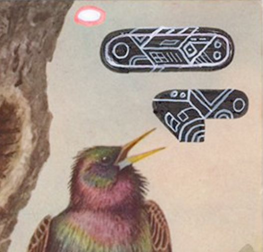 Birds with UAP [and Redactions]