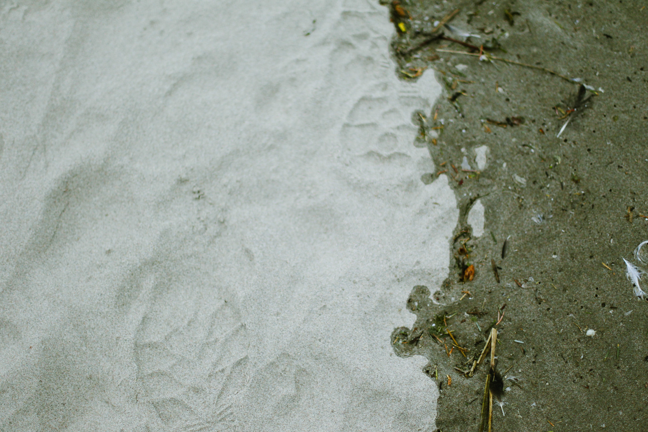 Jack Lambert Photography Cannon Beach-15.jpg