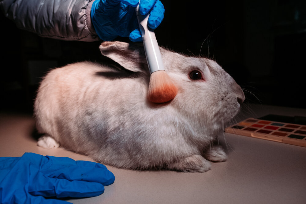 Cosmetic animal testing