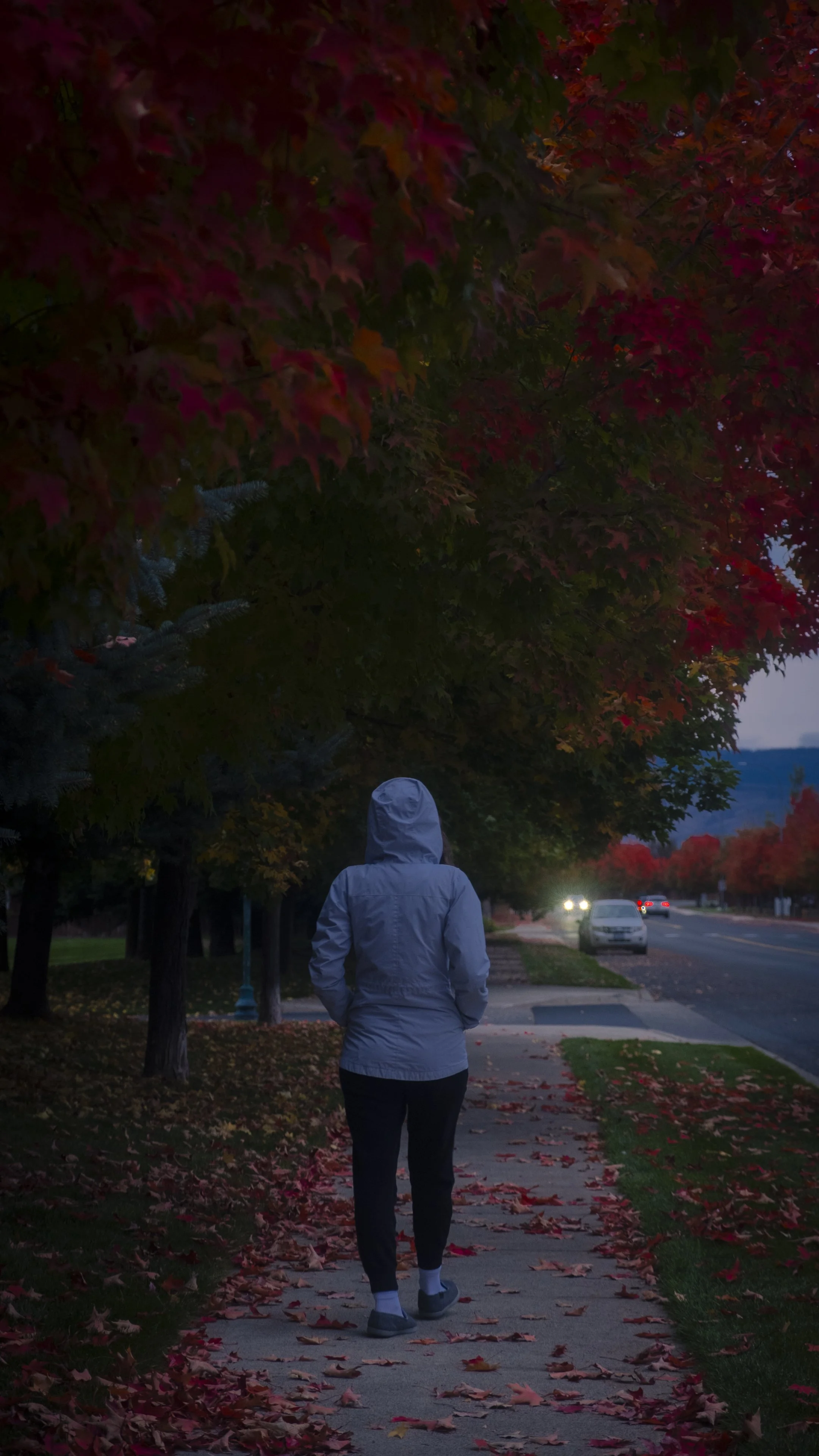 The Pros and Cons of Self Diagnosis