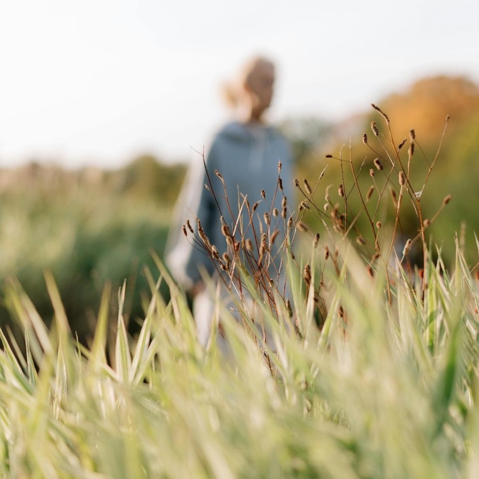 A Poetry Collection by Megan Foster