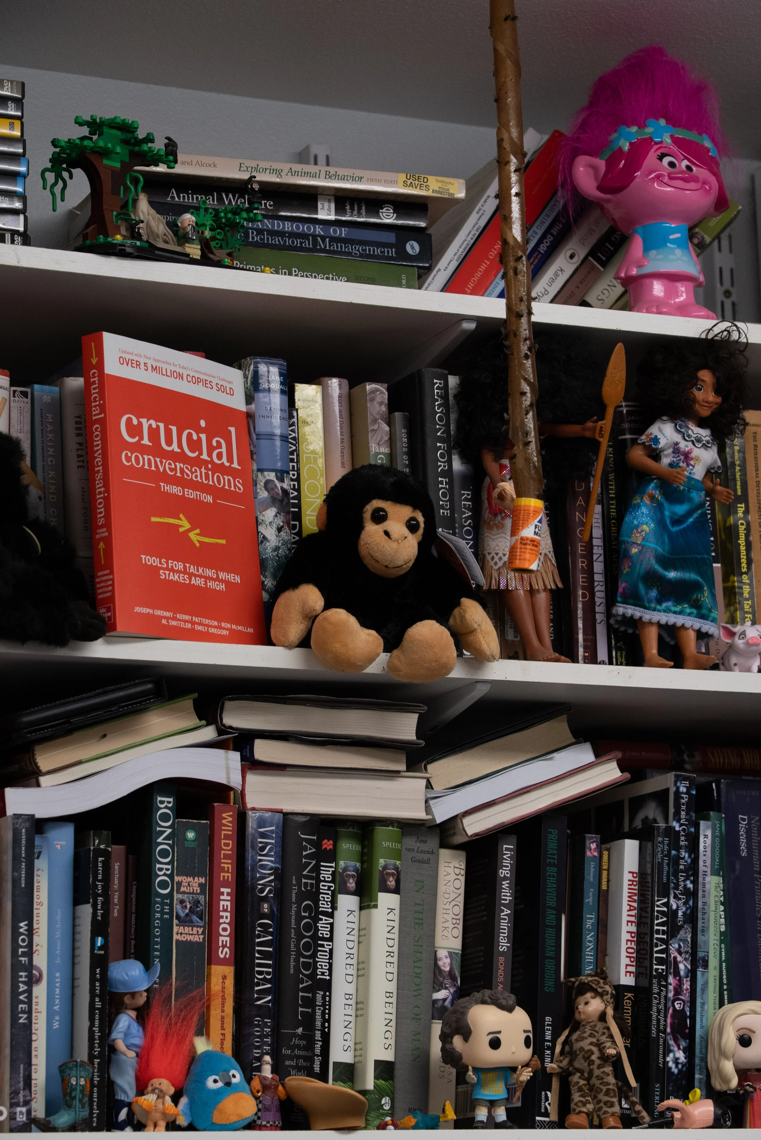 RaisingChimps-052.jpg