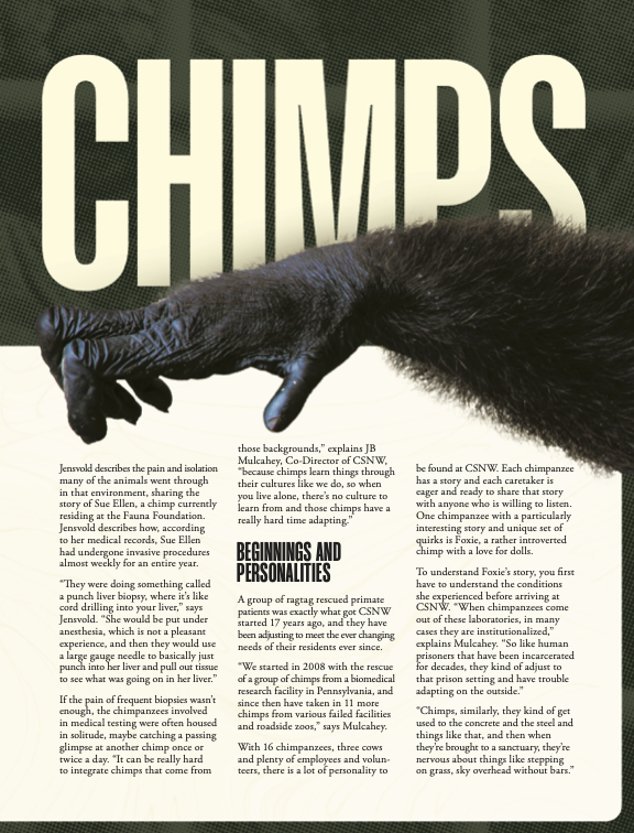 Chimp-2 (dragged).png